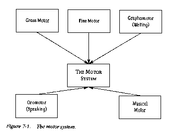 Index of /Images/Graphs